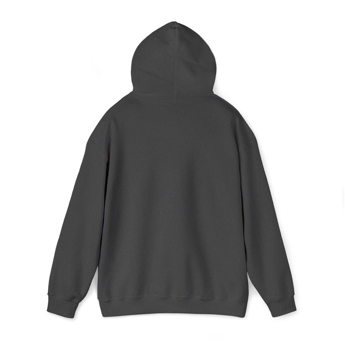 LZThir13 Fire & Ice Hoodie